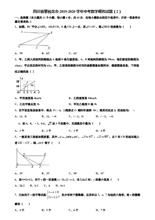 四川省攀枝花市2019-2020学年中考数学模拟试题(2)含解析