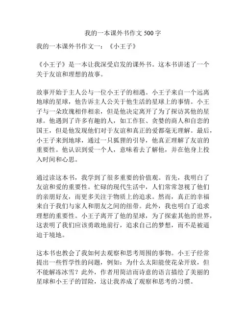 我的一本课外书作文500字