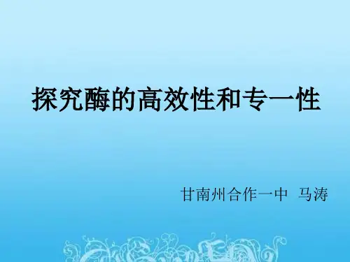 探究酶高效性和专一性