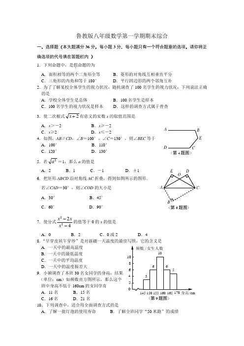 鲁教版八年级数学第一学期期末综合