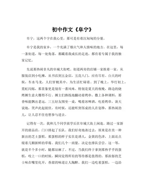 初中作文《阜宁》