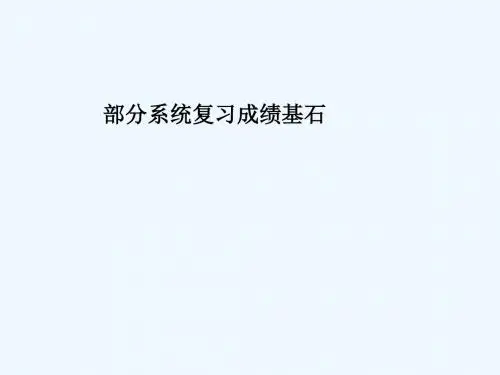 滨州专版2018中考化学总复习第一部分系统复习成绩基石第七单元常见的酸和碱第2课时pH与酸和碱的中和反应课