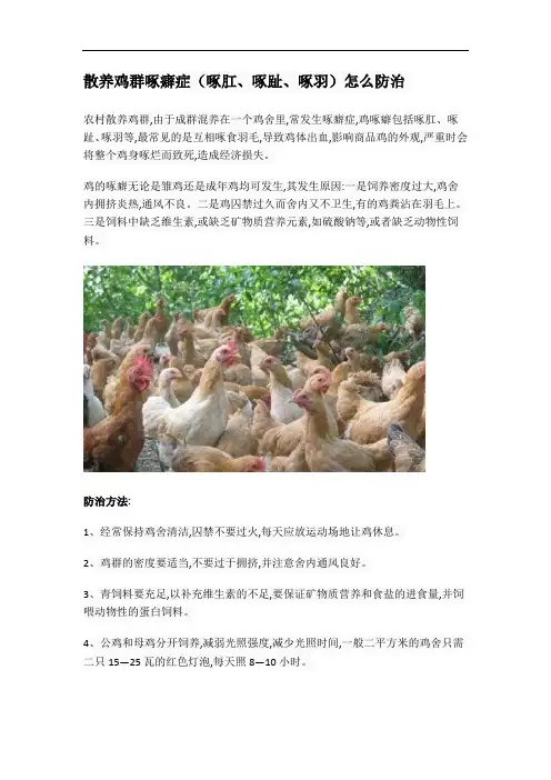 散养鸡群啄癖症(啄肛、啄趾、啄羽)怎么防治