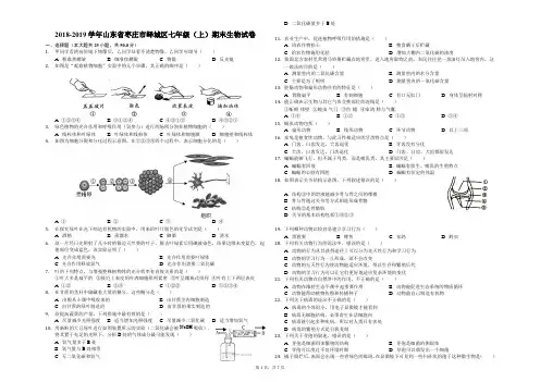 2018-2019学年山东省枣庄市峄城区七年级(上)期末生物试卷-解析版