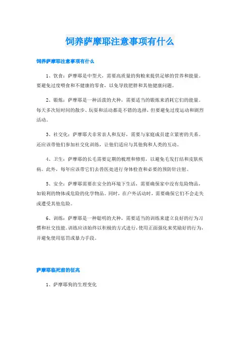 饲养萨摩耶注意事项有什么