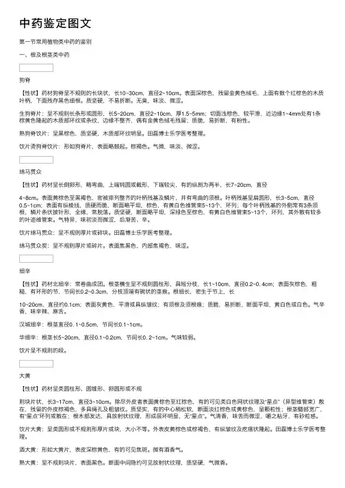中药鉴定图文