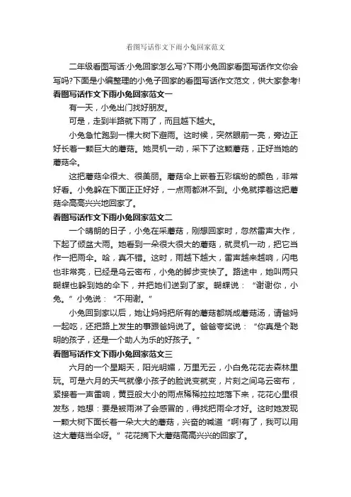 看图写话作文下雨小兔回家范文_作文300字_小学二年级作文_