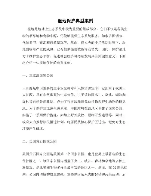 湿地保护典型案例
