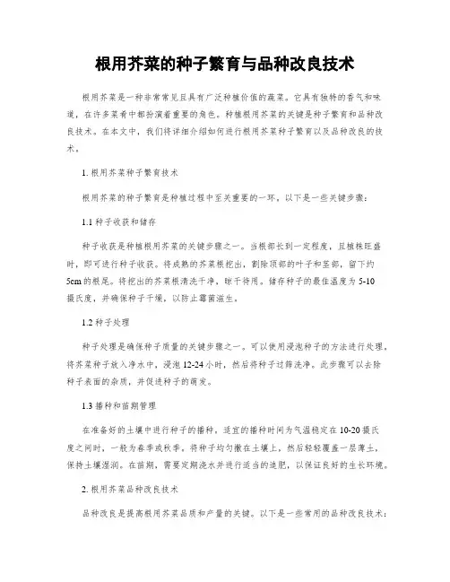 根用芥菜的种子繁育与品种改良技术
