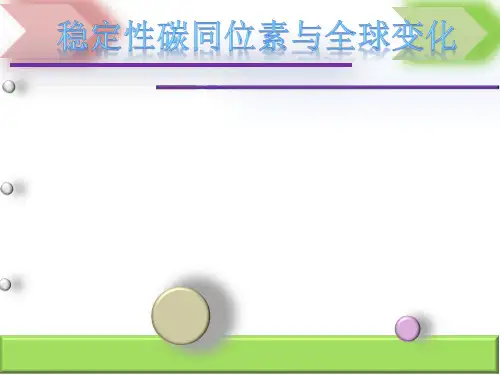 碳稳定性同位素与全球变化