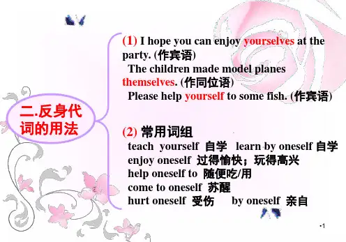 反身代词和不定代词用法PPT课件