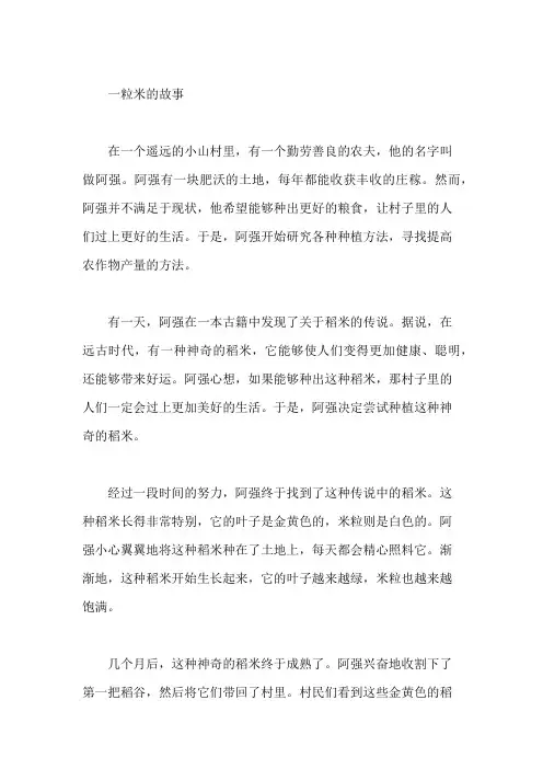 一粒米的故事