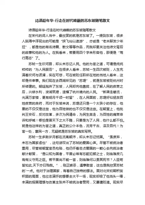 诗酒趁年华-行走在时代峰巅的苏东坡随笔散文