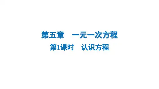 5.1 认识方程++++课件+2024-2025学年+北师大版(2024)七年级数学上册