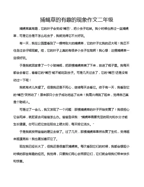 捕蝇草的有趣的现象作文二年级