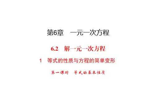华师大版七年级下册数学练习课件-第6章-6.2 1 第1课时等式的基本性质