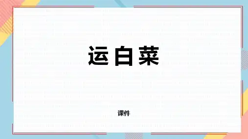 北师大版三年级上册数学《运白菜》加与减培优说课教学复习课件