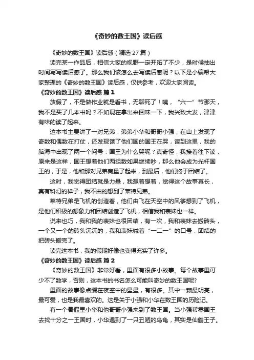 《奇妙的数王国》读后感