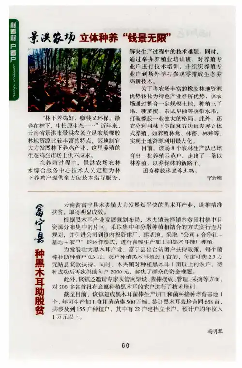 富宁县种黑木耳助脱贫
