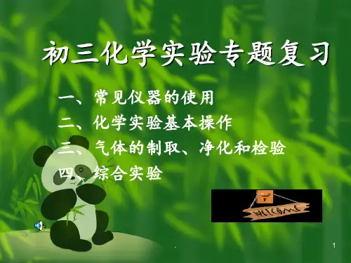 初三化学实验专题复习