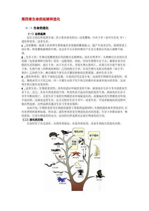 生命的延续和进化