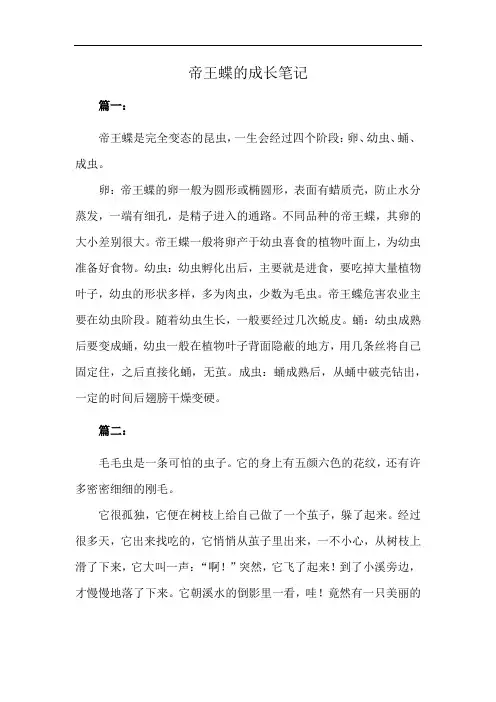 帝王蝶的成长笔记