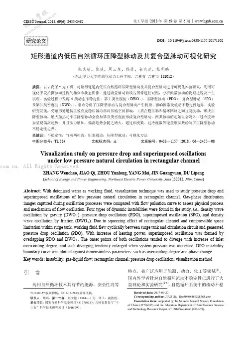矩形通道内低压自然循环压降型脉动及其复合型脉动可视化研究