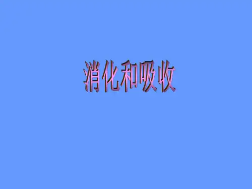 (六下)科学PPT课件5 消化与吸收 冀教版 (15张)