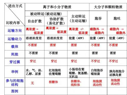 物质进出细胞的方式