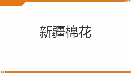 2024年5-8岁少儿水粉《新疆棉花开》-美术课件