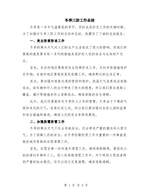 冬季三防工作总结