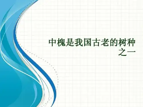中槐是我国古老的树种之一