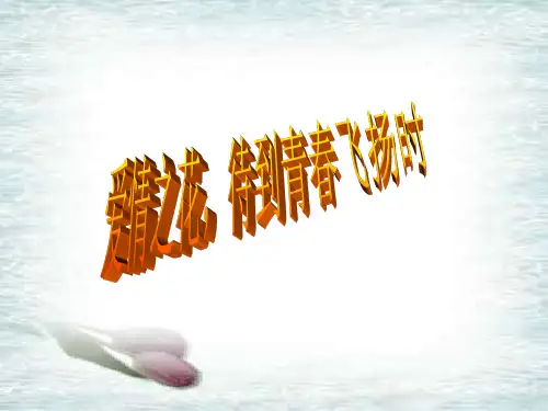 爱河面前请止步   主题班会 获奖课件PPT