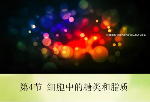 人教版高一生物必修一细胞中的糖类和脂质(共23张PPT)
