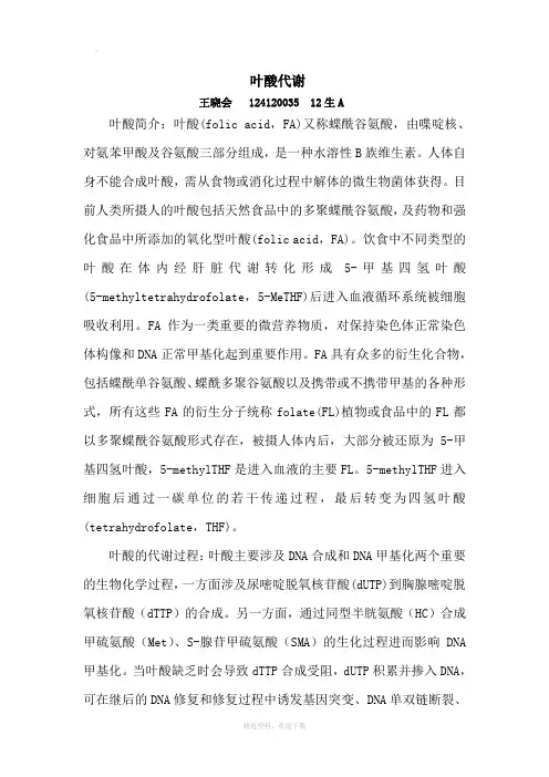叶酸代谢简介