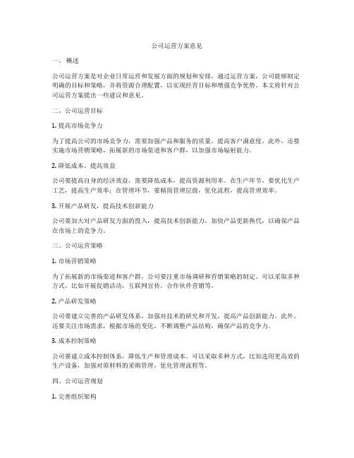 公司运营方案意见