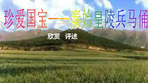 人教新课标美术四年级下册20《珍爱国宝——秦始皇陵兵马俑》课件 (共43张PPT)