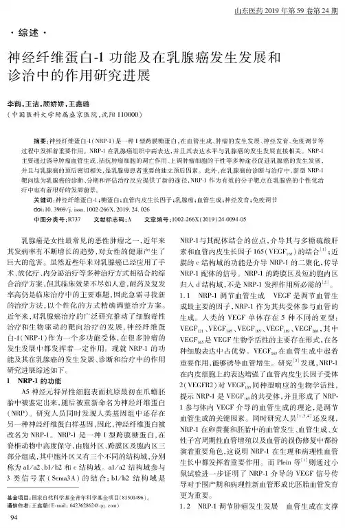 神经纤维蛋白-1功能及在乳腺癌发生发展和诊治中的作用研究进展