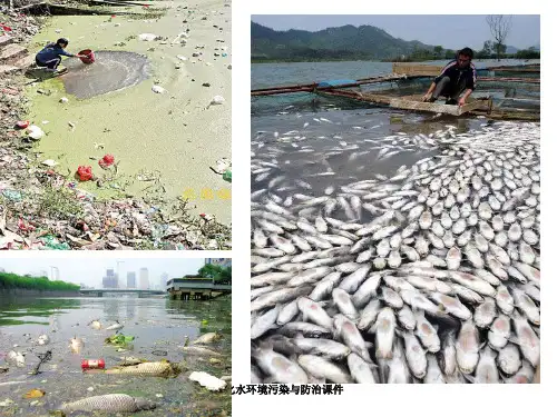 地化水环境污染与防治课件