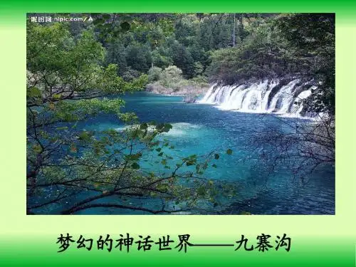 最新人教版部编本三年级语文上册第20课《 美丽的小兴安岭》优质教学课件