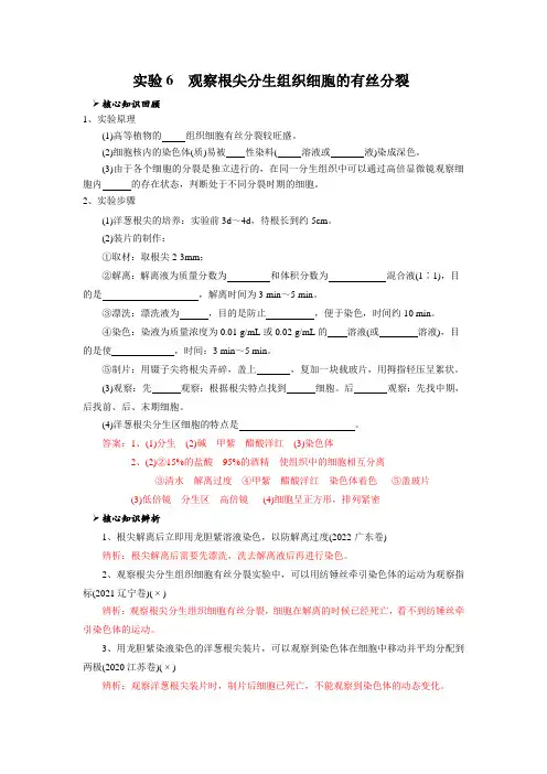 实验6 观察根尖分生组织细胞的有丝分裂(解析版)