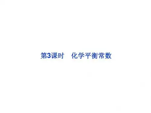 高中化学人教版选修4课件 ：第2章第三节第3课时