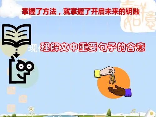 高考复习现代文阅读：理解文中重要句子的含意ppt