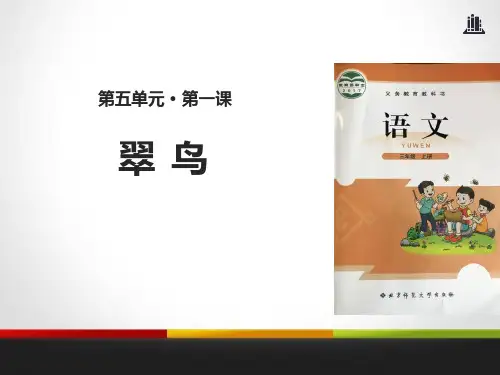 《翠鸟》PPT