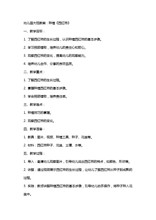 幼儿园大班教案：种植《西红柿》