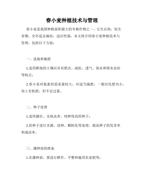 春小麦种植技术与管理
