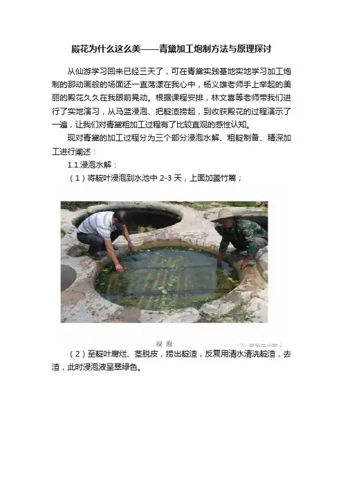 殿花为什么这么美——青黛加工炮制方法与原理探讨
