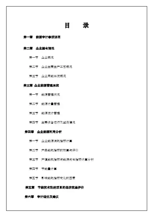 公司能源审计报告