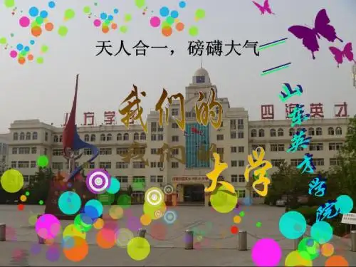 山东英才学院概述