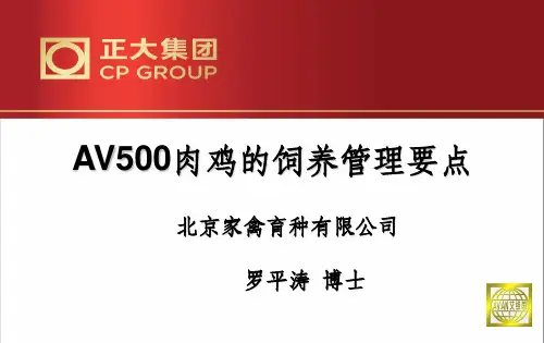 肉鸡的饲养管理要点ppt课件